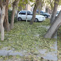 حیاط خانه کلنگی نازی آباد شرقی|فروش زمین و ملک کلنگی|تهران, نازی‌آباد|دیوار
