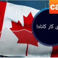 مهاجرت کاری به کانادا باشرایط پرداخت اقساطی|خدمات حمل و نقل|تهران, الهیه|دیوار