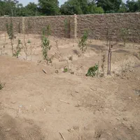 فروش چهاردیواری۴۰۰مترتا۹۰۰مترسندتک‌برگ ری قلعه نو|فروش دفتر صنعتی، کشاورزی، تجاری|ری, |دیوار