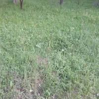زمین کشاورزی درجواررودخانه روستای سیمیندشت(حصاربن)|فروش زمین و ملک کلنگی|فیروزکوه, |دیوار
