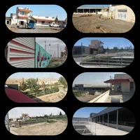 گاوداری دامداری تولیدی5000متری|فروش دفتر صنعتی، کشاورزی، تجاری|مشهد, شهرک شهید باهنر|دیوار