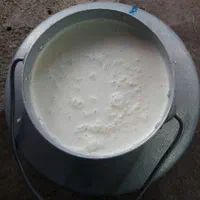 شیر گرم و تازه گاو