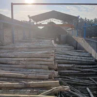 تخته قالب بندی. تخته دفنی تخته زیرپابنایی .قیدمبلی|مصالح و تجهیزات ساختمان|مشهد, نوید|دیوار