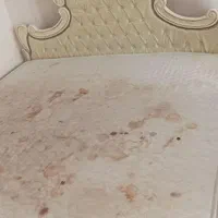 شستشوی مبل و خوشخواب و فرش بادستگاه درمنزل تضمینی|خدمات نظافت|مشهد, کوثر|دیوار