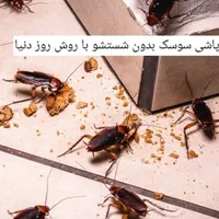 سمپاشی سوسک ساس دریک مرحله ضمانت کتبی سم پاشی|خدمات نظافت|تهران, تجریش|دیوار