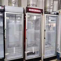 یخچال تاج بلند هیبرنال