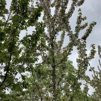 خانه ۷۳ متری دوطبقه روستای توریستی سنگان|فروش خانه و ویلا|تهران, شهران شمالی|دیوار