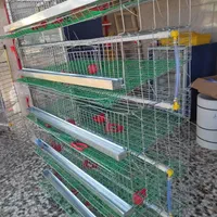 قفس و سبد حمل مرغ و بلدرچین|لوازم جانبی حیوانات|یزد, |دیوار