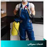 سمپاشی قدیمی وسم پاشی اصولی
