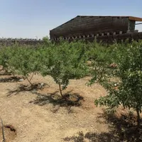 فروش باغ|فروش خانه و ویلا|اصفهان, بوستان آینه خانه|دیوار