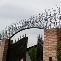 حفاظ غرقابی کنگره ای گل پنجره ای، سربوته ای|مصالح و تجهیزات ساختمان|شیراز, شهرک گلدشت حافظ‎|دیوار