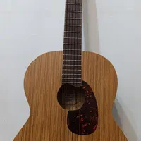 گیتار آلگرو