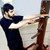 آموزش هنر رزمی وینگ چون ( سنتی ایپ )