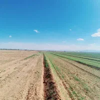 ده هزار مترمربع زمین کشاورزی باغی|فروش دفتر صنعتی، کشاورزی، تجاری|صباشهر, |دیوار