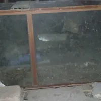 مرغ باآکواریوم