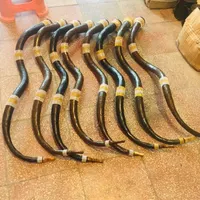 بوق،شیپور،دمام