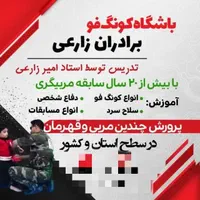 آموزش کونگ فو و هنرهای رزمی ..قیمت مناسب