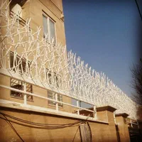 حفاظ شاخ گوزنی|خدمات پیشه و مهارت|سبزوار, |دیوار