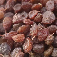 کشمش بیدانه ملایر .شیراز .تاکستان|عمده‌فروشی|ری, جوانمرد قصاب|دیوار