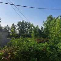 زمین۳۳۶متر پروانه ساخت۲۱۰متر تالش قروق|فروش زمین و ملک کلنگی|تالش, هشتپر|دیوار