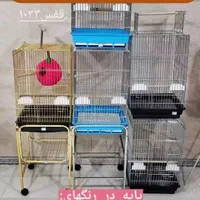 دنیای قفس و لوازم جانبی پرندگان زینتی|لوازم جانبی حیوانات|تبریز, |دیوار