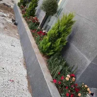 اجرای خدمات باغبانی  کاشت باغچه ،علف زنی سم پاشی|خدمات باغبانی و درختکاری|زنجان, |دیوار