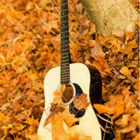 آموزش خصوصی گیتار