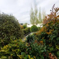 باغچه۴۲۰. کردان. تهراندشت. نمکلان. سرخاب