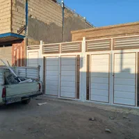 پاپی خالدار بنفشه ۳