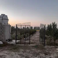 باغ آماده انار۴۵۰متری شموشک سفلی