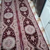 فرش ماشینی|فرش|ارومیه, |دیوار