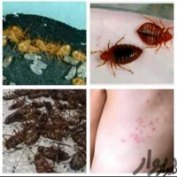 سمپاشی ساس وسوسک باضمانت کتبی سم پاشی دریک مرحله