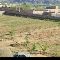 فروش زمین با مجوز گلخانه در شهر سیدان|فروش دفتر صنعتی، کشاورزی، تجاری|مرودشت, تخت جمشید|دیوار