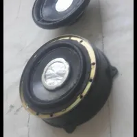 دونوع باند خانگی
