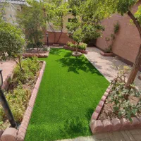 چمن مصنوعی حیوانات