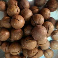 قوتو اصل کرمان|خوردنی و آشامیدنی|مشهد, کوشش|دیوار