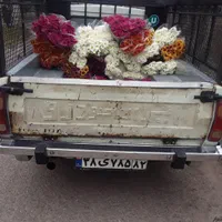 وانت  بار   تلفنی|خدمات حمل و نقل|نوشهر, |دیوار