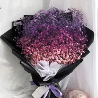 ظرافت.شادی .انرژی با دنیای گل