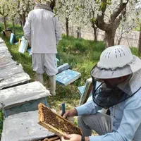 ژل رویال خالص با ضمانت .مستقیم از زنبوردار|خوردنی و آشامیدنی|مشهد, گلبرگ شمالی|دیوار
