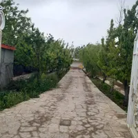 ویلا باغ ۱۰۰۰متری ۵کیلومتری چناران|اجارهٔ کوتاه‌مدت ویلا و باغ|چناران, |دیوار