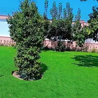 چمن مصنوعی 30 میل باغ تالار مدارس مهدکودک رستوران|خدمات باغبانی و درختکاری|مشهد, الهیه|دیوار
