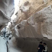 تور گشت جزیره قشم|تور و چارتر|قشم, |دیوار