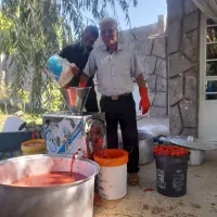آبگیری گوجه فرنگی به صورت سیار|خوردنی و آشامیدنی|مشهد, قائم|دیوار