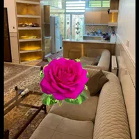 اجاره روزانه/هفتگی/ماهانه تک واحدی همکف دوخوابه|اجارهٔ کوتاه‌مدت آپارتمان و سوئیت|قم, سراجه (۱۵ خرداد)|دیوار