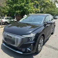 آئودی کیو 5 ای ترون، مدل ۲۰۲۴
