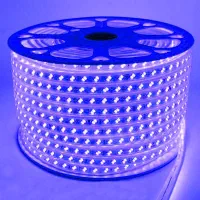 ریسه شلنگی smd دولاین تراکم بالا|ریسه و چراغ تزئینی|رشت, دباغیان|دیوار