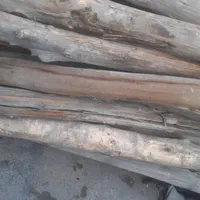 خریدار چوب خرید چوب تیرچوبی کاج درمحل|خدمات باغبانی و درختکاری|تهران, خرمشهر|دیوار