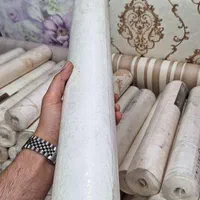 ۲۰۰۰ رول کاغذ دیواری خارجی رنگ روشن|مصالح و تجهیزات ساختمان|تهران, تهرانپارس شرقی|دیوار