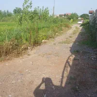 زمین کشاورزی سنددار ۲۳۸۰ متر پاچکنار رشت|فروش زمین و ملک کلنگی|رشت, حومه رشت|دیوار