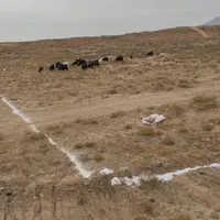 زمین مسکونی خارج از بافت روستای تاجخاتون|فروش زمین و ملک کلنگی|قم, آزادگان|دیوار
